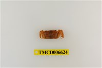 藏品(萬歲大眼蟹)的圖片